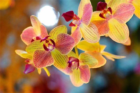 开始新生活的简短句子 忘记一切重新开始句子