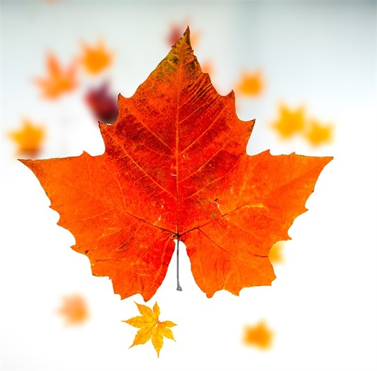 生日祝福爱人感动句子 爱人生日祝福的句子