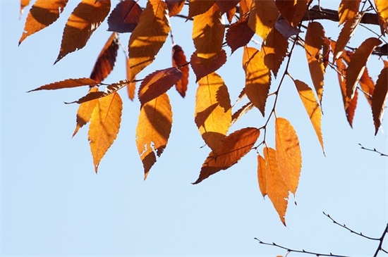 女生酷句子 夸女生酷的句子