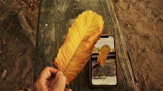 晚安不平凡的你 2026年晚安暖心句子