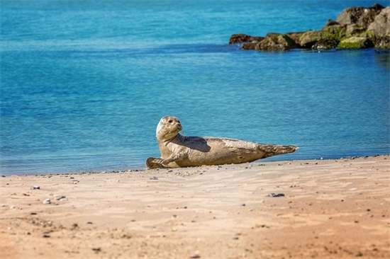 不辜负美好时光的句子