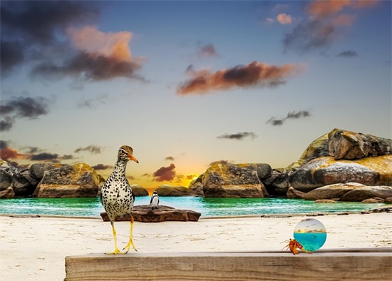 浪漫至死不渝的爱情句子 至死不渝的爱情句子