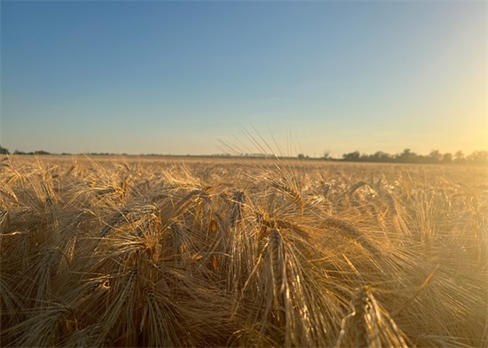 2026立冬的祝福文案