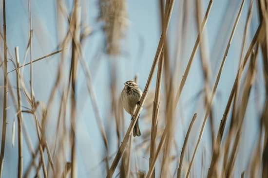 2026年情人节贺卡祝福语69句