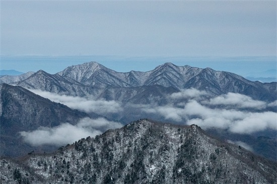 2026护士节歌颂最美护士祝福寄语精选