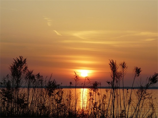 给家公生日简短祝福语