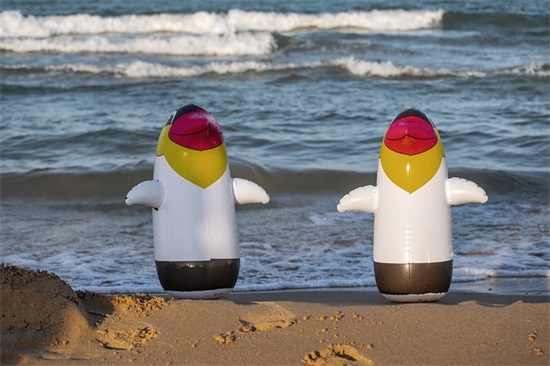 诗经中描写女子的句子61句