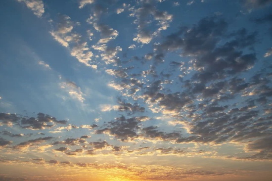 一起走下去暖心的句子 愿意陪你疯的句子