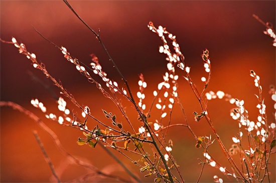 给老铁的生日祝福语