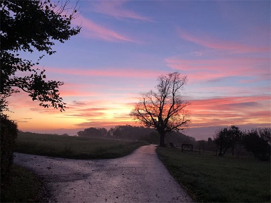 带有猴字的祝福语 带猴字的祝福成语