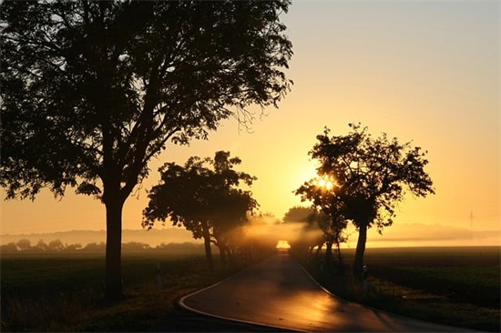 敏感玻璃心的句子(有哪些可以治愈玻璃心的句子)