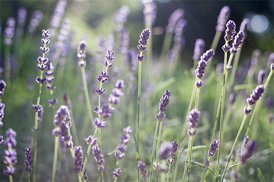 2026微信拍一拍搞笑句子恶搞