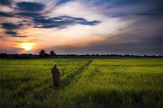 有关孤独的伤心句子 孤独伤心的句子
