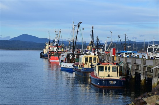 春节祝福公司的祝福贺词