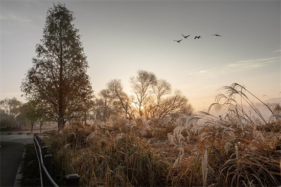 抖音结婚祝福语精选 结婚祝福语精选