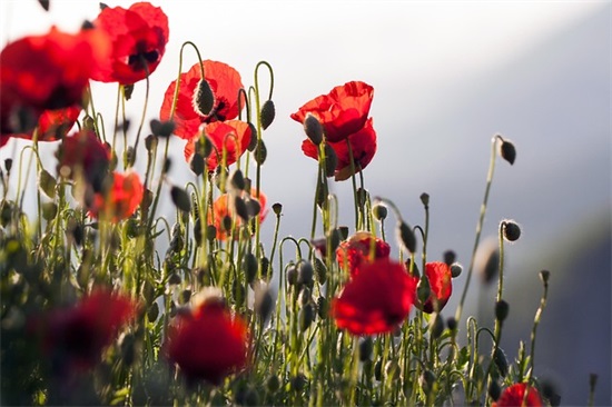 关于聚会的祝福语28句