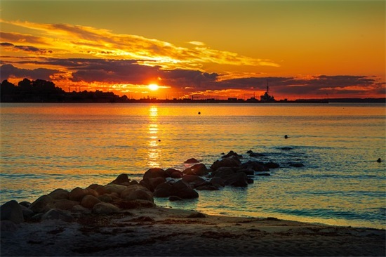 表达孤独的句子 无人能懂的句子