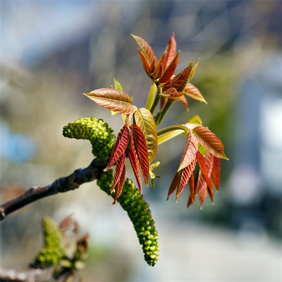 每日一善正能量文案 上午好的漂亮句子