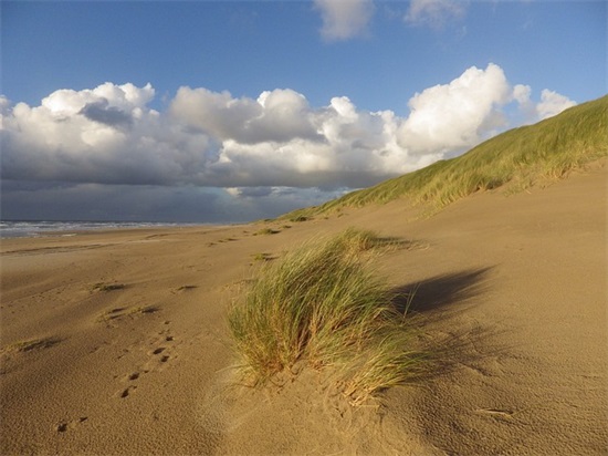 描写桃花优美的句子 形容桃花开的句子