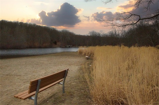 搞笑雷人的句子