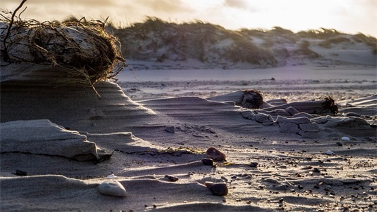 关于女神节快乐的一句祝福语(女神节祝福语短句)