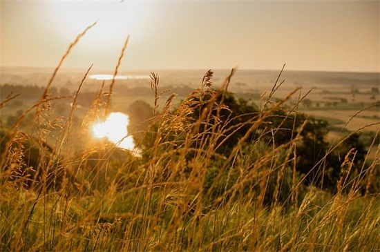 为生活奔波的句子 为生活奔波的句子