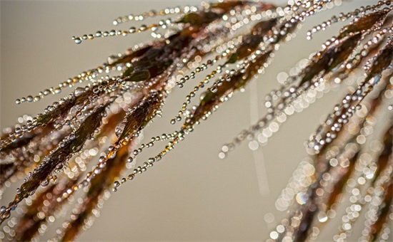 赞美大海的美句 夸赞大海很美的句子