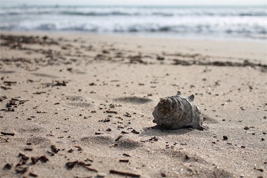 网络热门小说里最精彩的句子