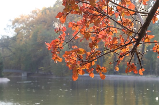 相爱不能在一起的短语 不能在一起的爱情句子