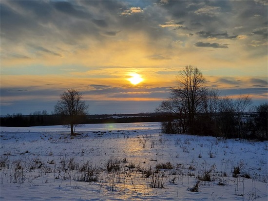牛年元宵节祝福语80句