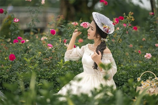 2026给顾客的新年祝福语-70句