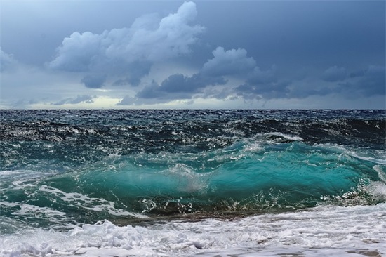 本命虎年祝福语 【虎年本命年文案】