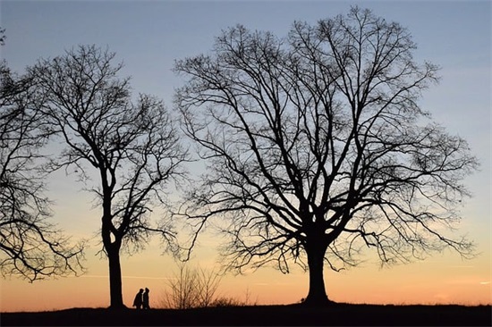 悲哀的句子80句