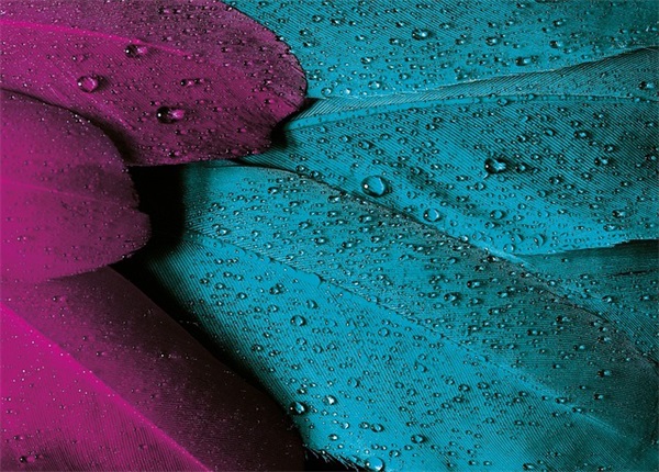 创意广告词（精选210句）