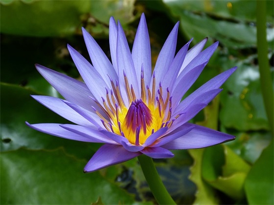 38节短信祝福83句