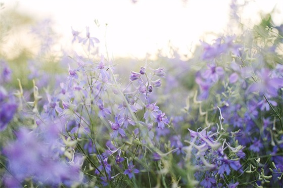 教师中秋双节简短祝福