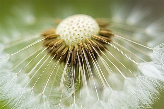 2025清明节好句好段摘抄 写事的好词好句好段摘抄