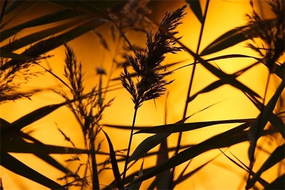 高铁多久停止检票