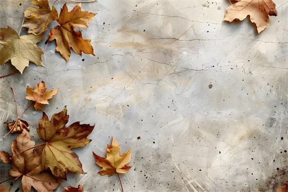 女生网名爱尔兰文