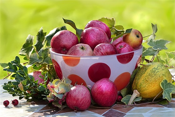 花开终败落女生网名