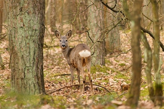 为感情伤心的微信网名