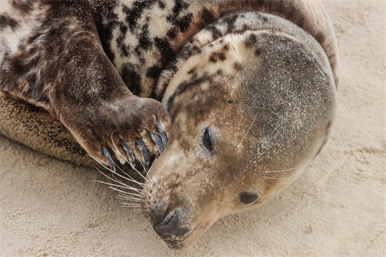 激励奋斗的微信网名