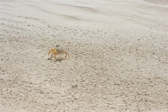 微信带强的网名大全