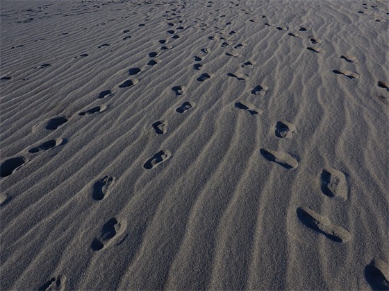 男生唯美五字网名大全