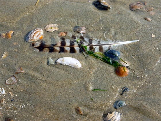 带星星的唯美网名