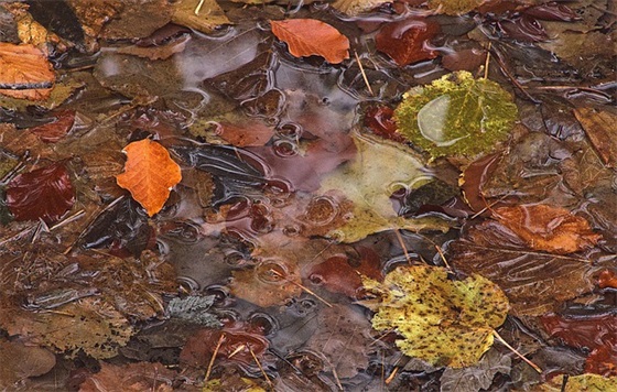 唯美歌名网名大全