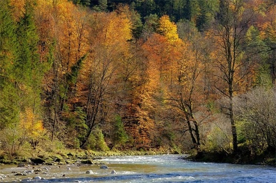 少爷繁体字个性网名
