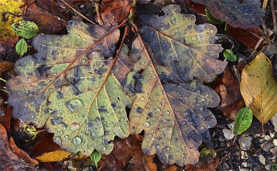 冷酷qq网名大全