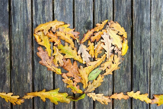 个性网名逗比女生头像