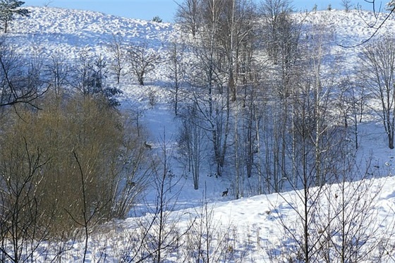 个性家族网名400个